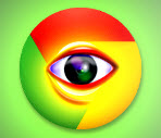 Chrome Autofill Viewer浏览器储存信息查找 V1.0免费版