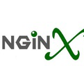 下载nginx从入门到实践教程 免费版