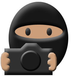 下载RAW转换器(PictureCode Photo Ninja) v1.3.8免费版