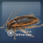 杀死蟑螂(Kill Cockroach) v1.0 WP7越狱版