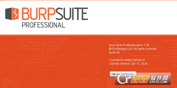 BrupSuite Pro抓包工具集成平台