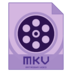 MKV视频转换器(Dimo MKV Video Converter) v4.6官方最新版
