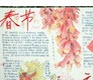 2016年猴年春节主题手抄报打印版(中英文版) 免费word版电子小报模板