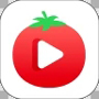 番茄todo社区看片app