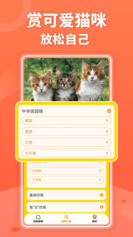 招财进猫破解版免费下载-招财进猫手机app最新版下载 v350.101